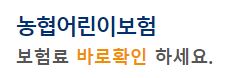 농협어린이보험 / 농협 손해보험 어린이보험
